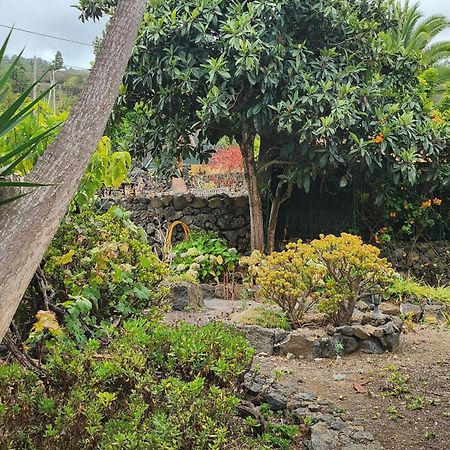 Oasis Hill Botanical Garden Villa Icod De Los Vinos Bagian luar foto