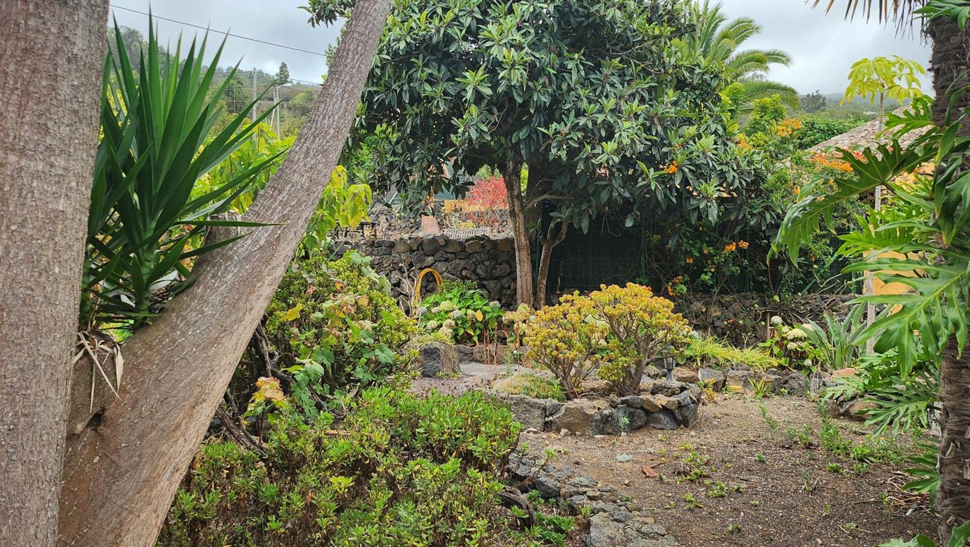 Oasis Hill Botanical Garden Villa Icod De Los Vinos Bagian luar foto