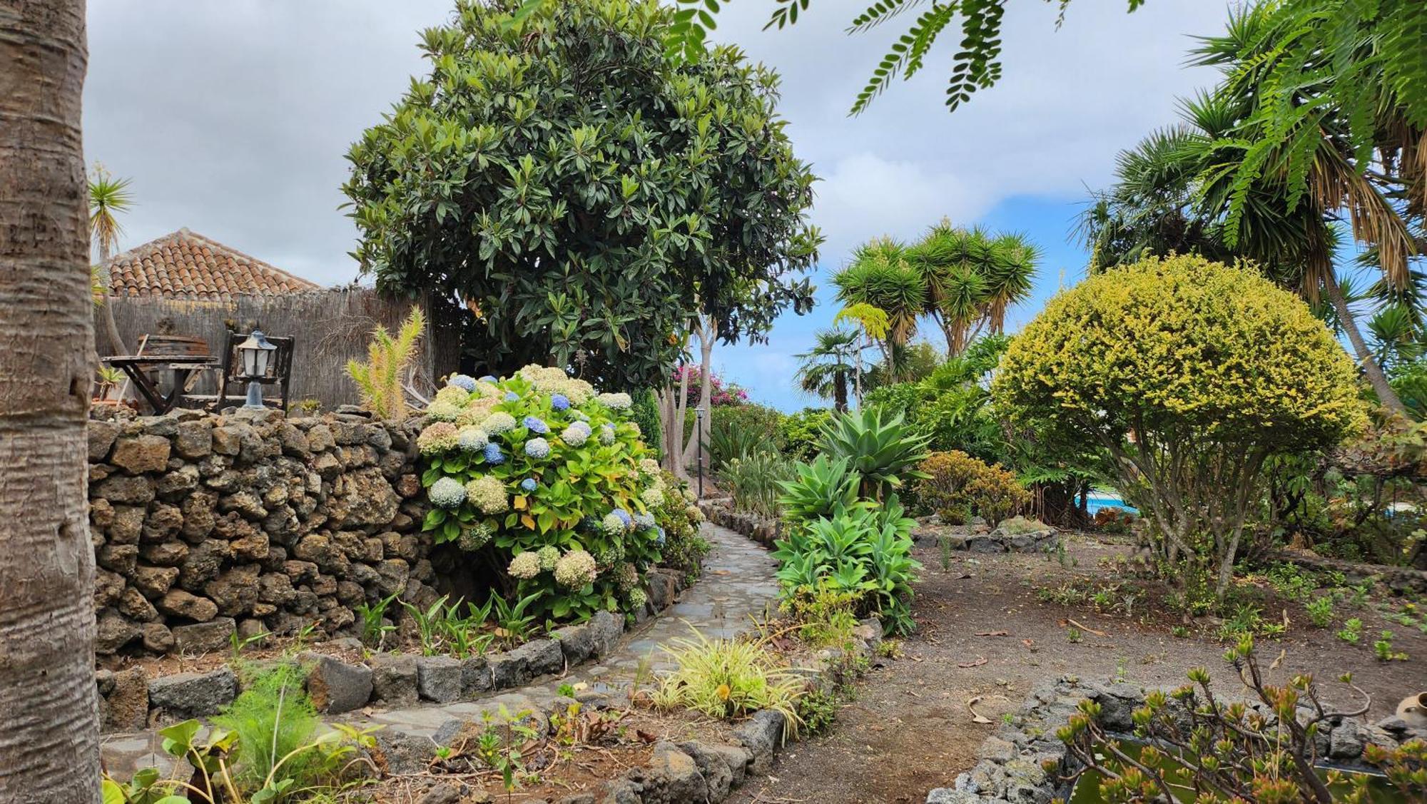Oasis Hill Botanical Garden Villa Icod De Los Vinos Bagian luar foto
