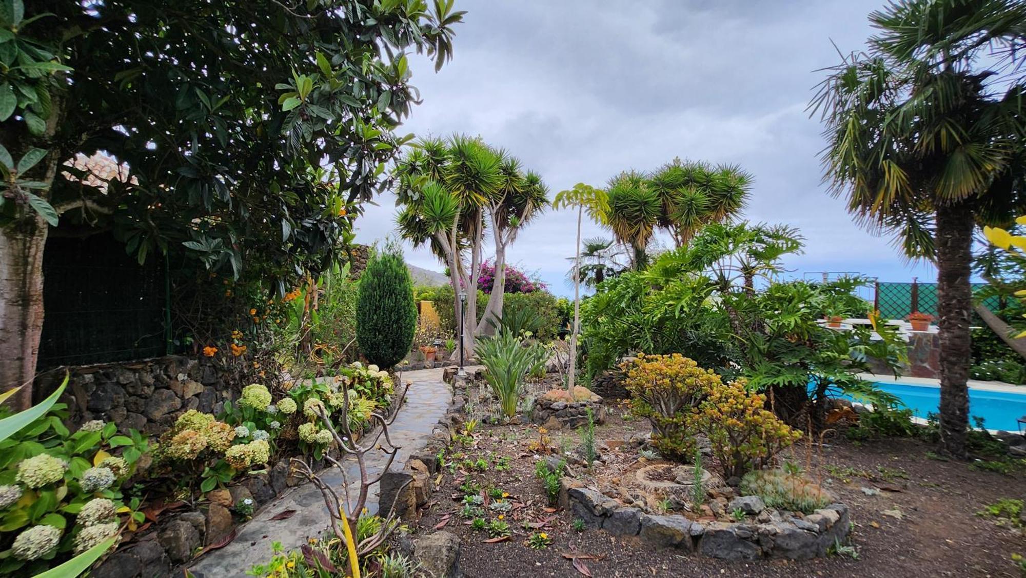 Oasis Hill Botanical Garden Villa Icod De Los Vinos Bagian luar foto