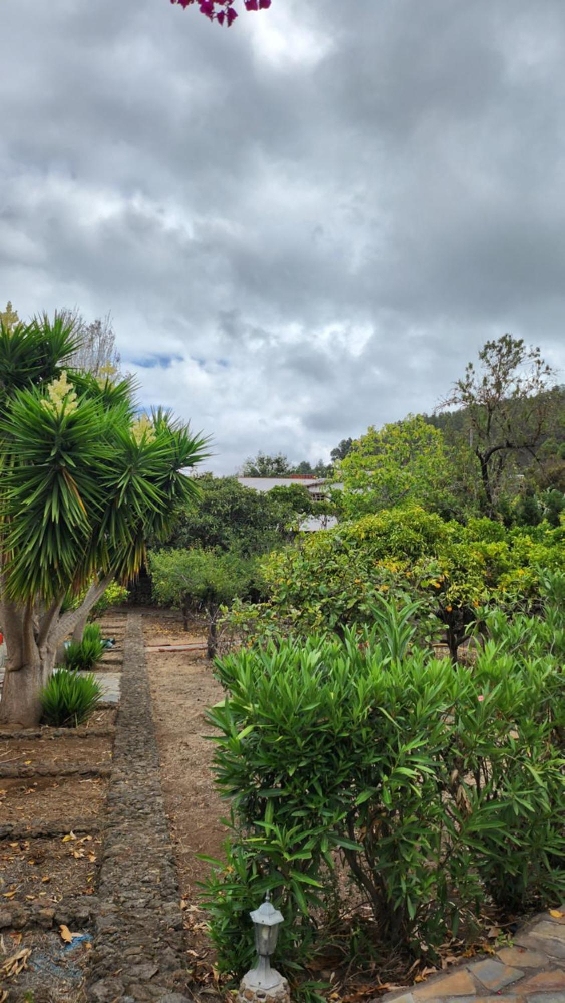 Oasis Hill Botanical Garden Villa Icod De Los Vinos Bagian luar foto